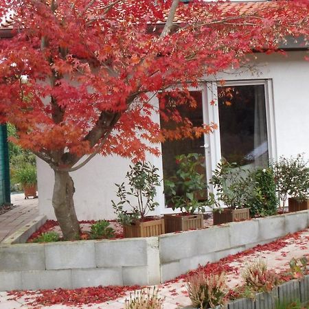 캔던 Haus Magnolia 2 아파트 외부 사진