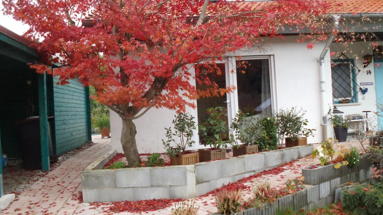 캔던 Haus Magnolia 2 아파트 외부 사진